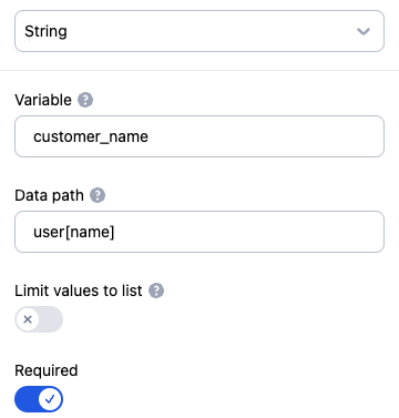 String input type settings